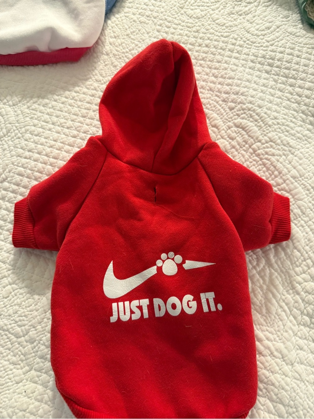 Dog hoodies all 7